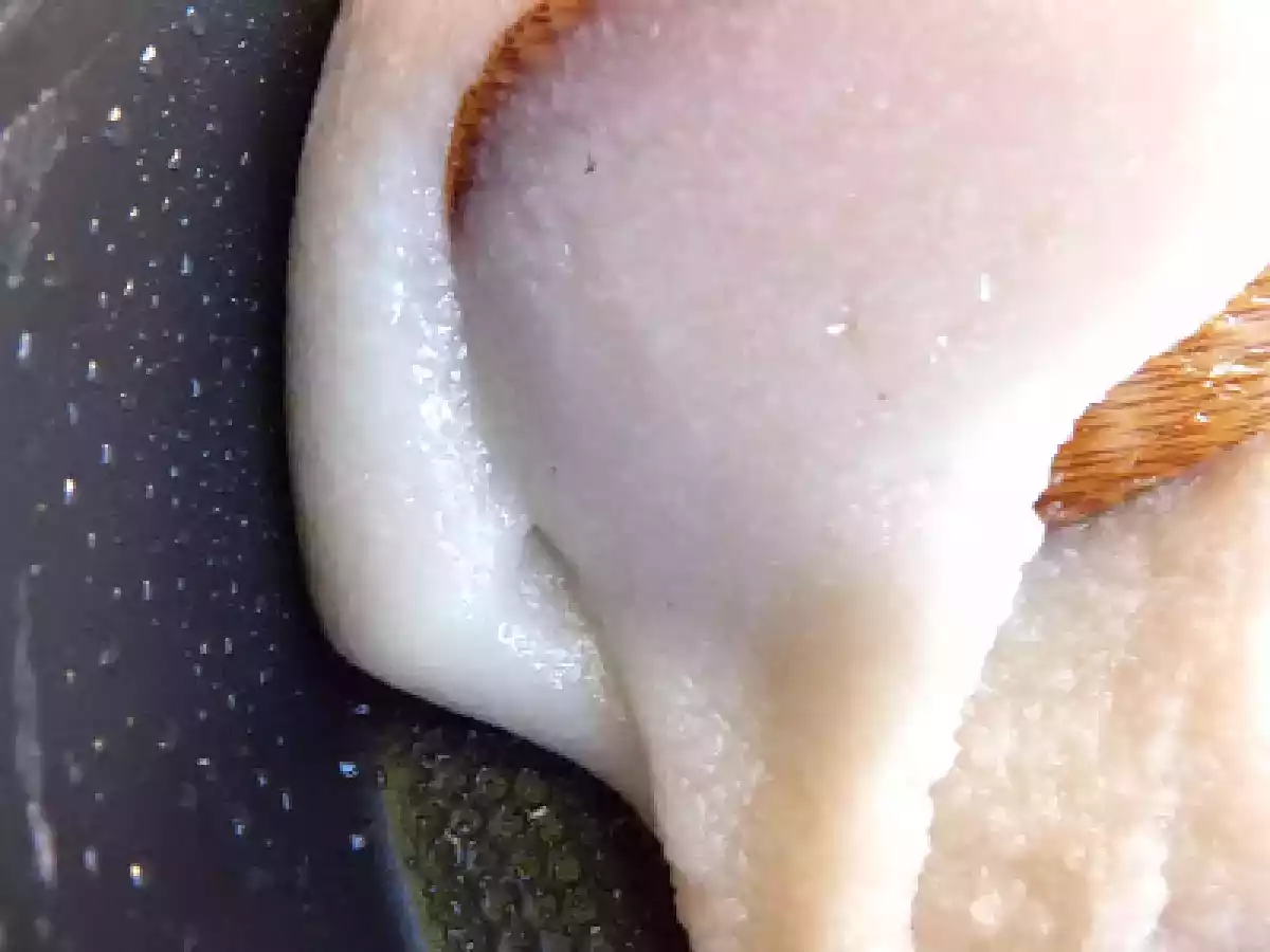 Perlas de coco para Elvira. - foto 3