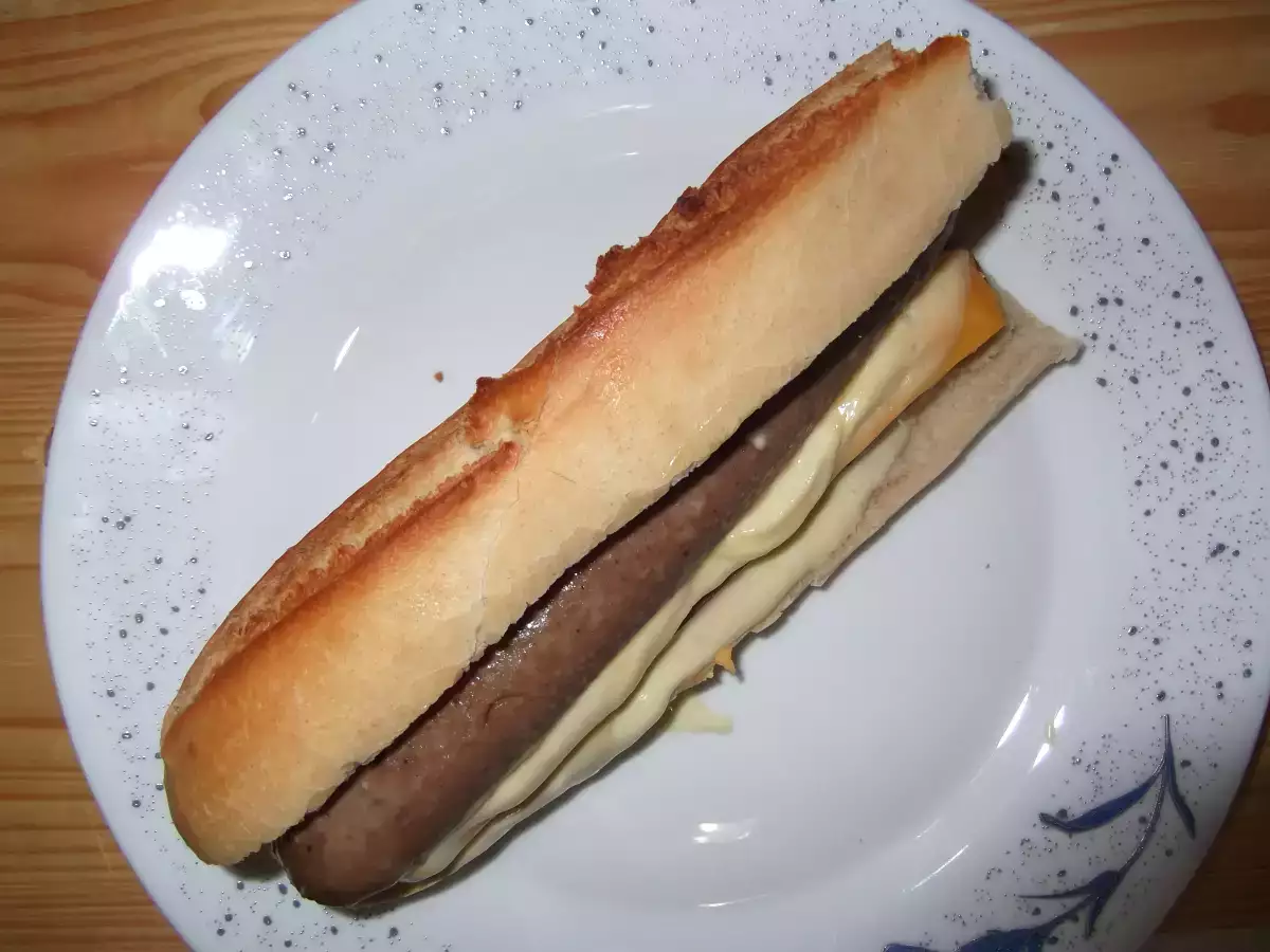 Perrito caliente a las dos salsas