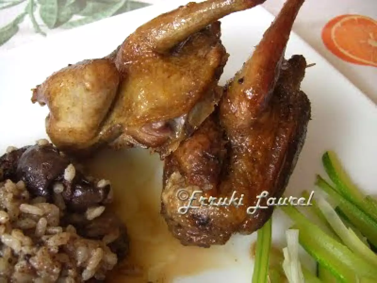 Pichón casero - foto 3