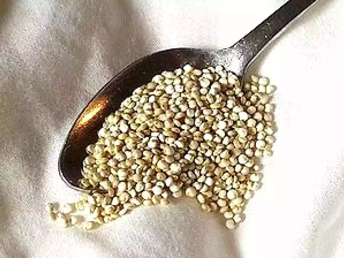 Pimientos Calahorra rellenos con quinoa - foto 2