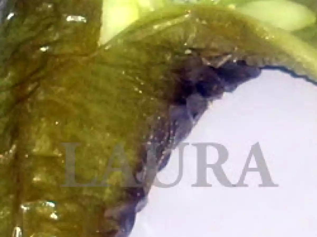 PIMIENTOS VERDES RELLENOS DE CALABACIN - foto 2