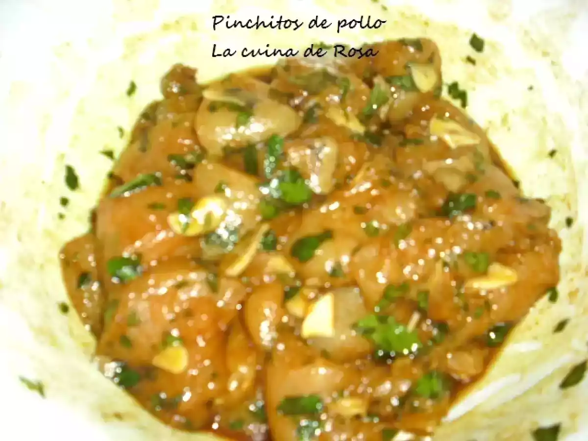 PINCHITOS DE POLLO - foto 2