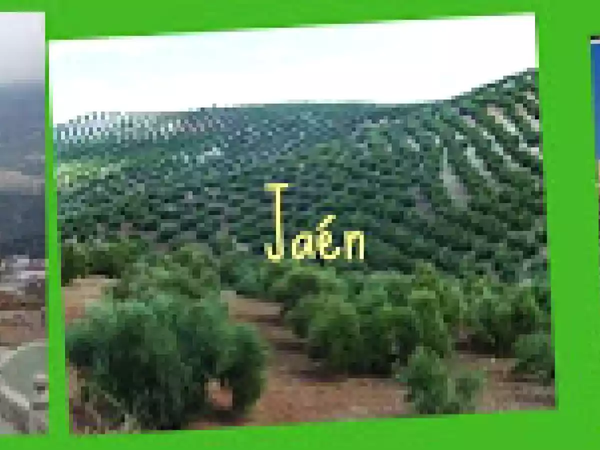 Pipirrana jiennese - foto 7