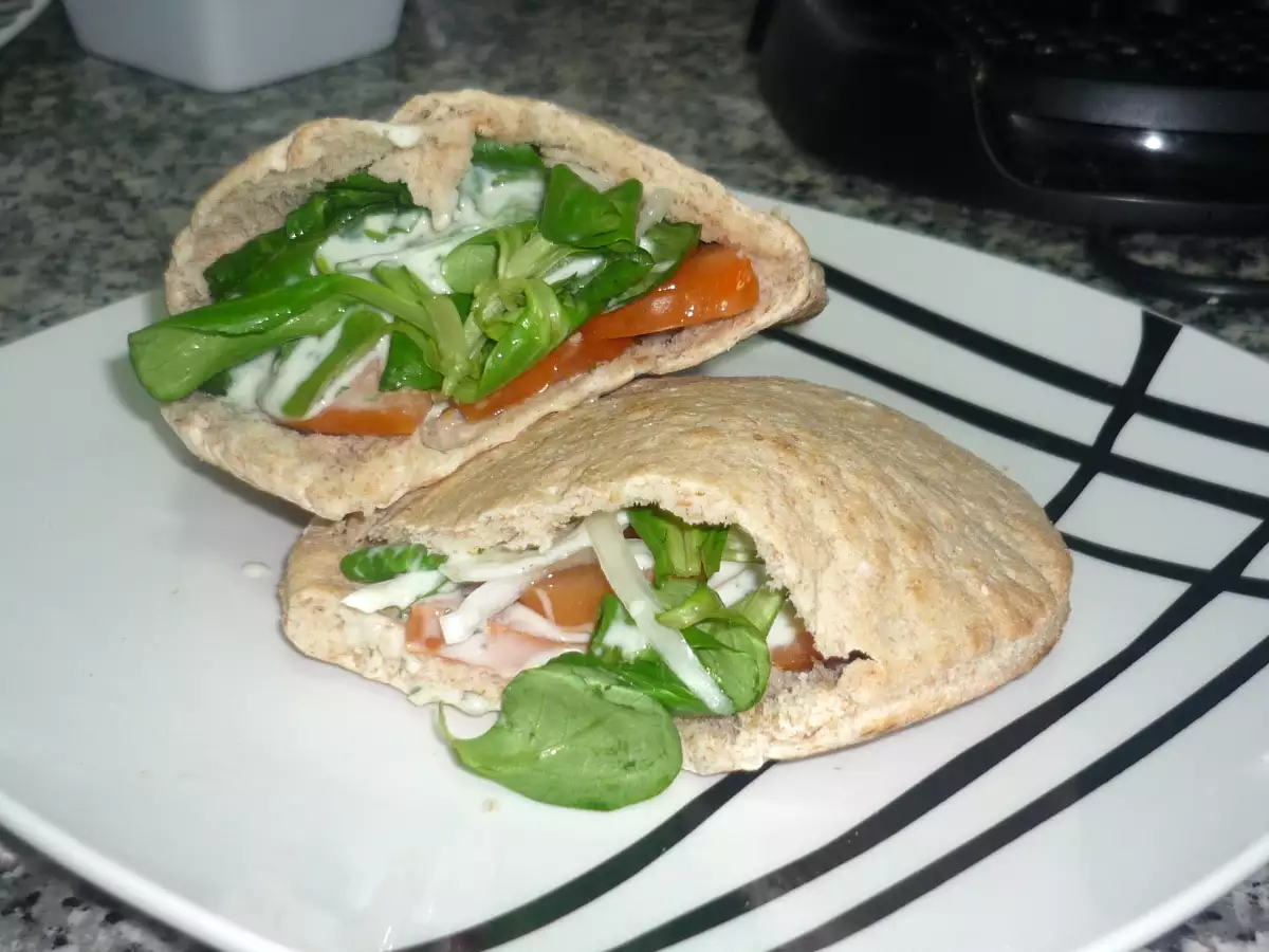 Pita Vegetal con Salsa Kebab.