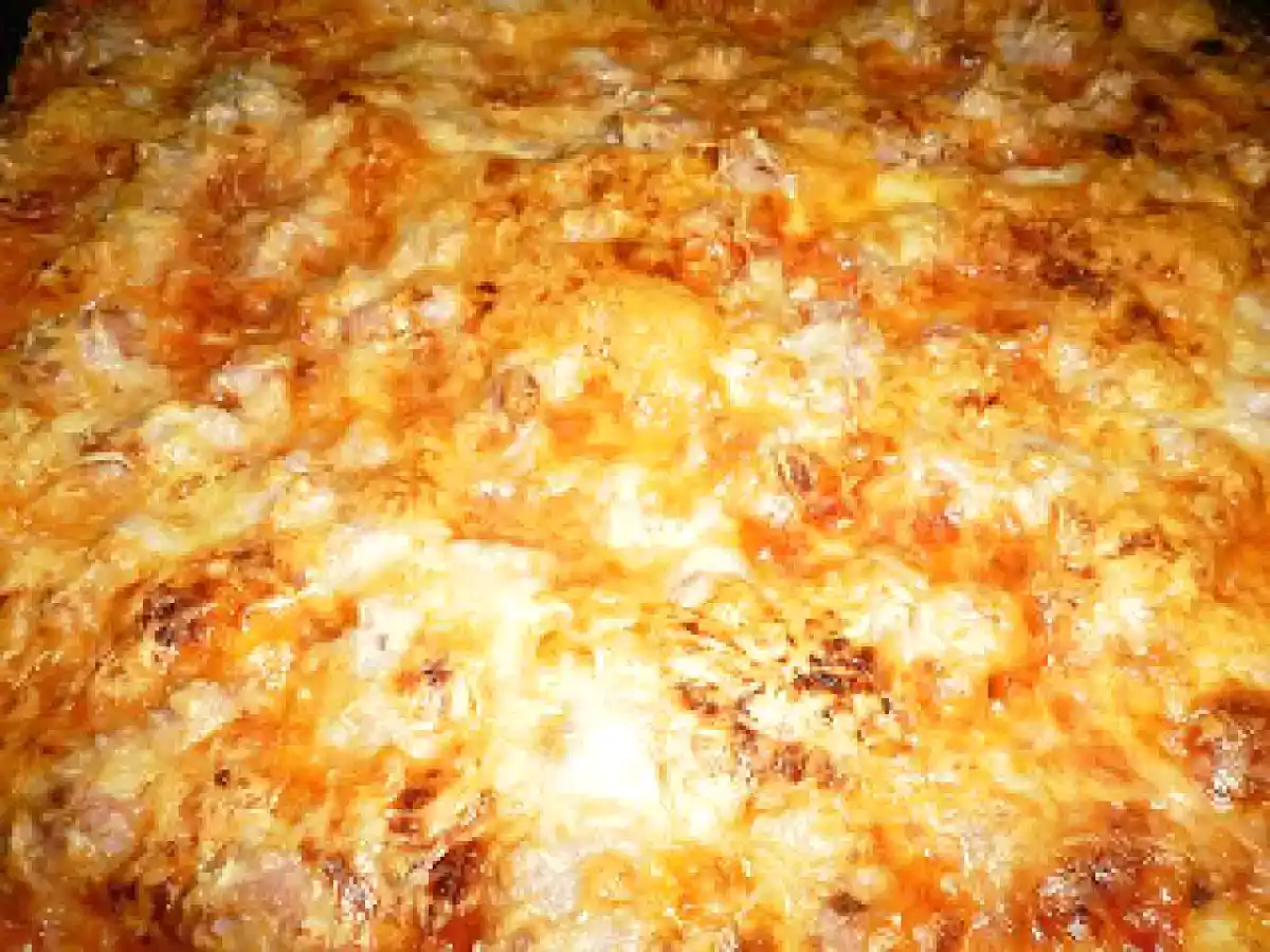 PIZZA- BURGUER CON QUESO - foto 5