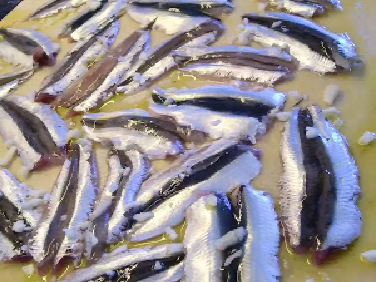 Pizza de boquerones frescos - foto 3