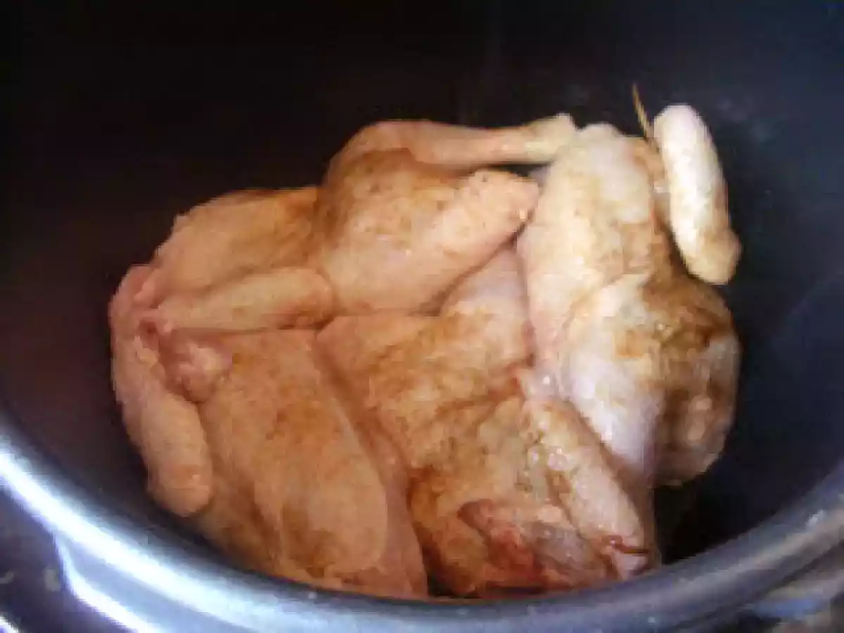 POLLITOS PICANTONES EN FUSSIONCOOK - foto 5