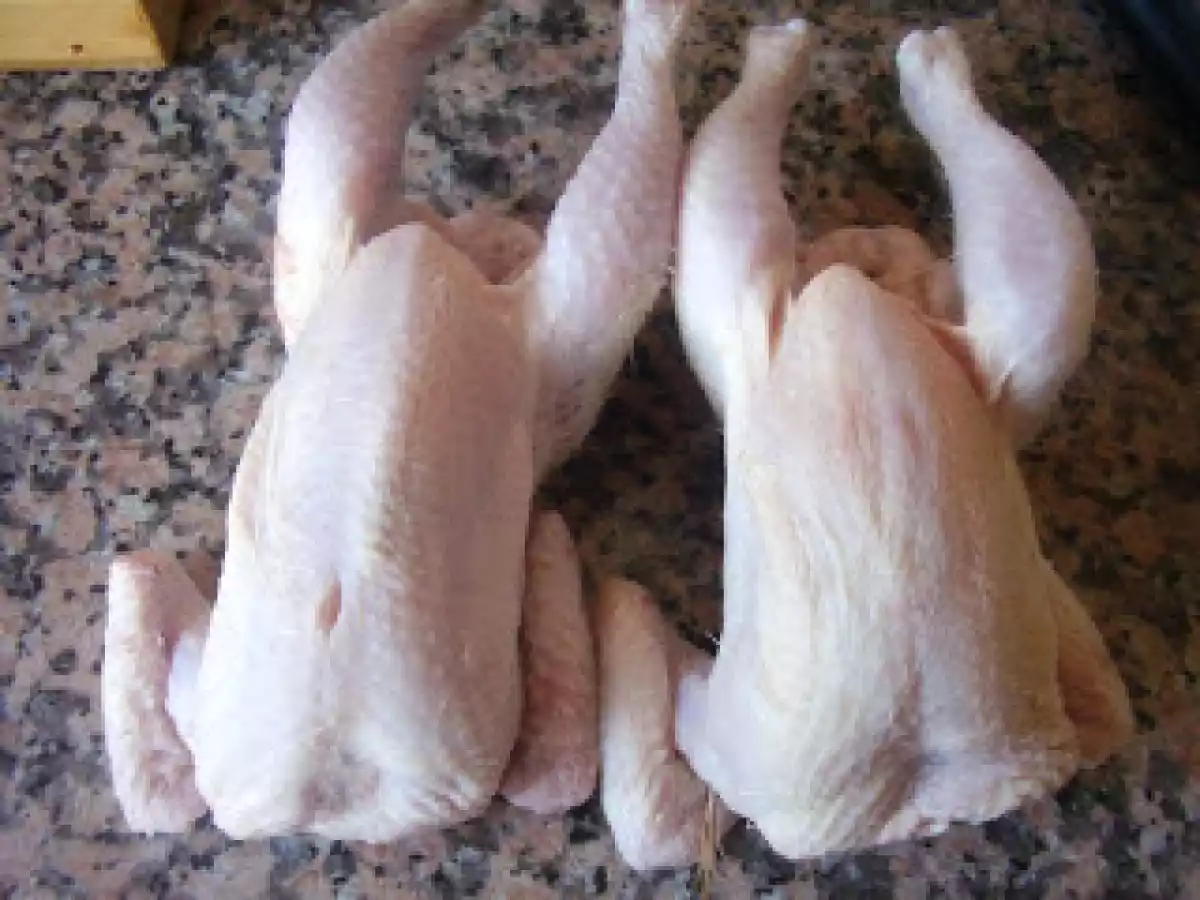 POLLITOS PICANTONES EN FUSSIONCOOK - foto 9