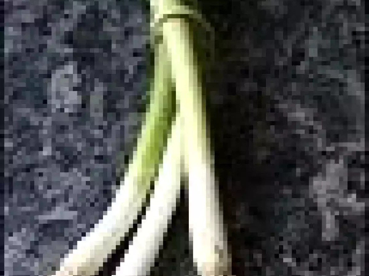 Pollo al curry a la manera thai - foto 14