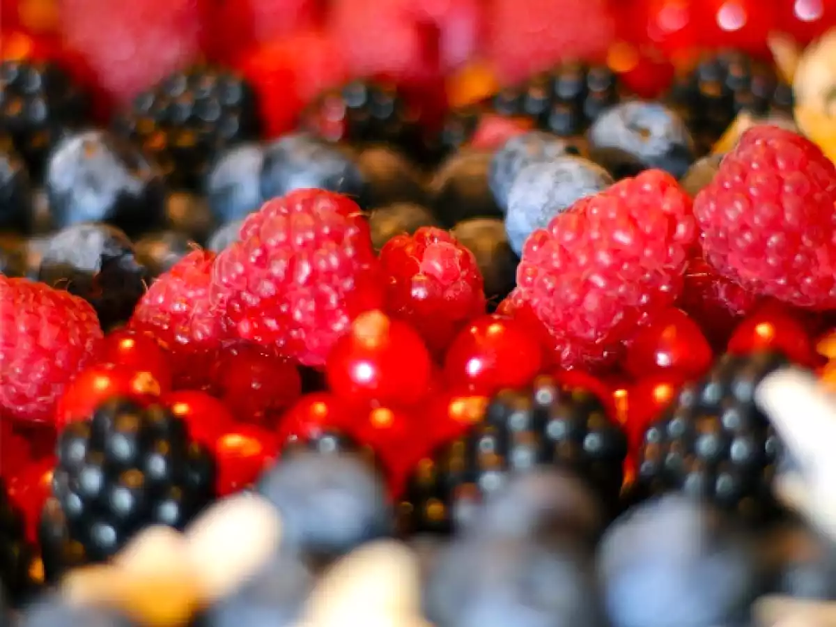 Postres Navideños y Feliz 2011! - foto 6