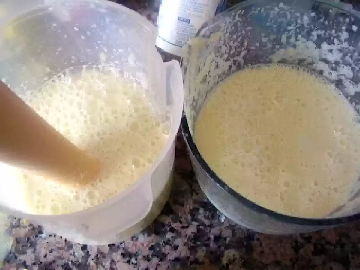 PUDIN DE MANZANA WEIGHT WATCHERS - foto 6