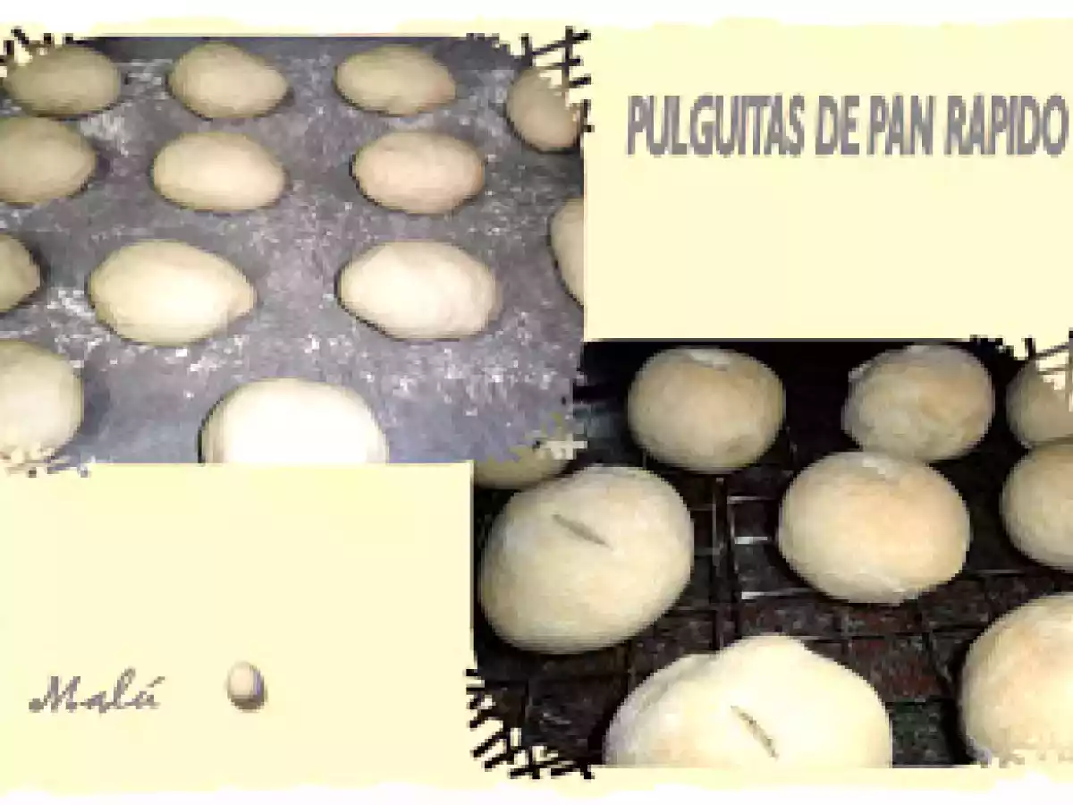 PULGUITAS DE PAN RAPIDO - foto 2
