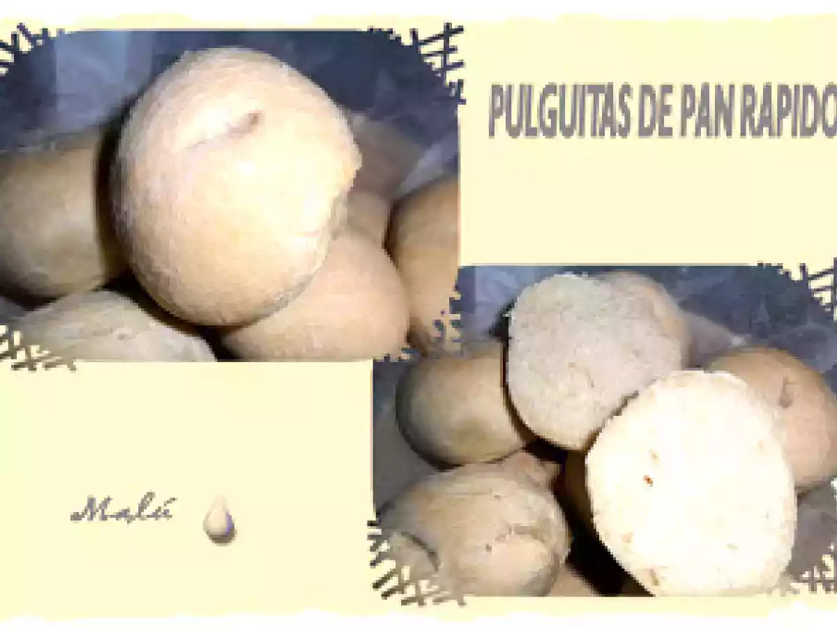 PULGUITAS DE PAN RAPIDO - foto 3