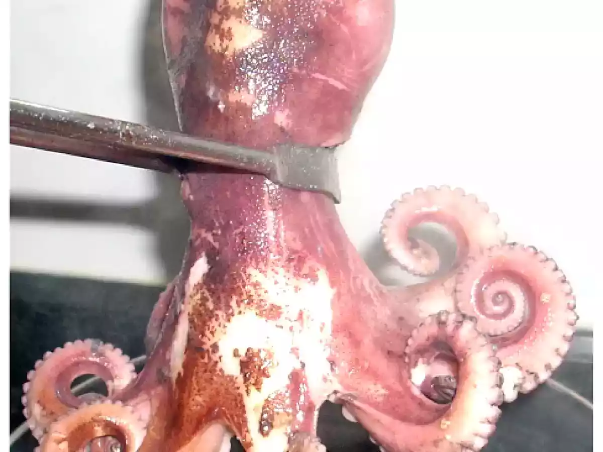 Pulpo en salsa - foto 2