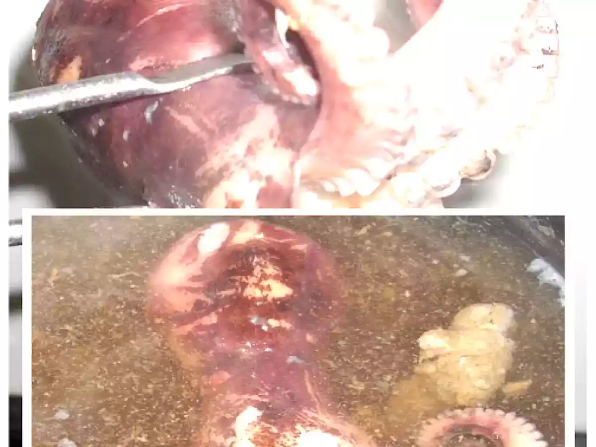 Pulpo en salsa - foto 3