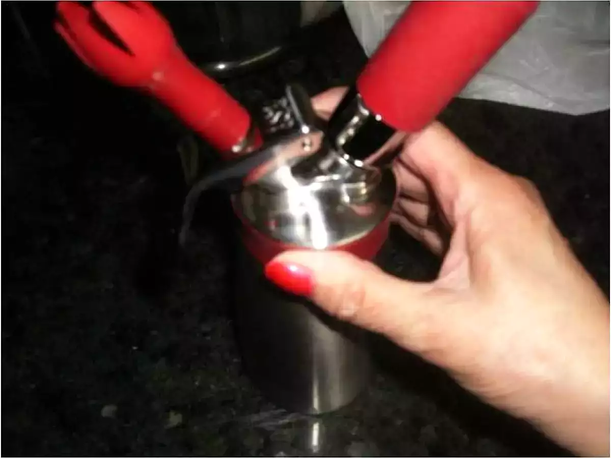 PURE DE PATATAS EN SIFON CON QUESO - foto 7