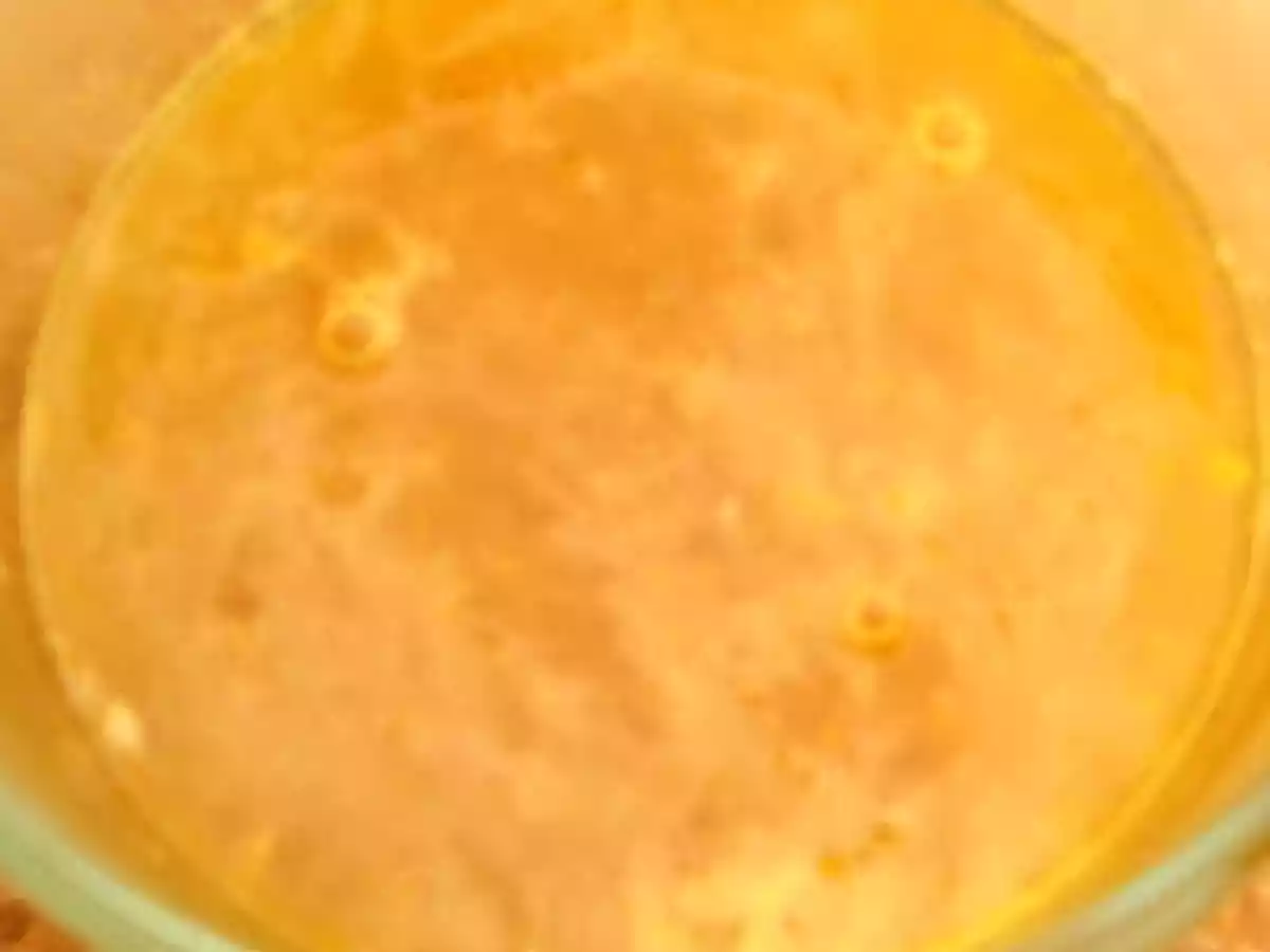 QUEQUE DE POLENTA CON MIEL EN POLVO Y BAÑO DE CÍTRICOS...UN HECHIZO INNOVADOR!!! - foto 3