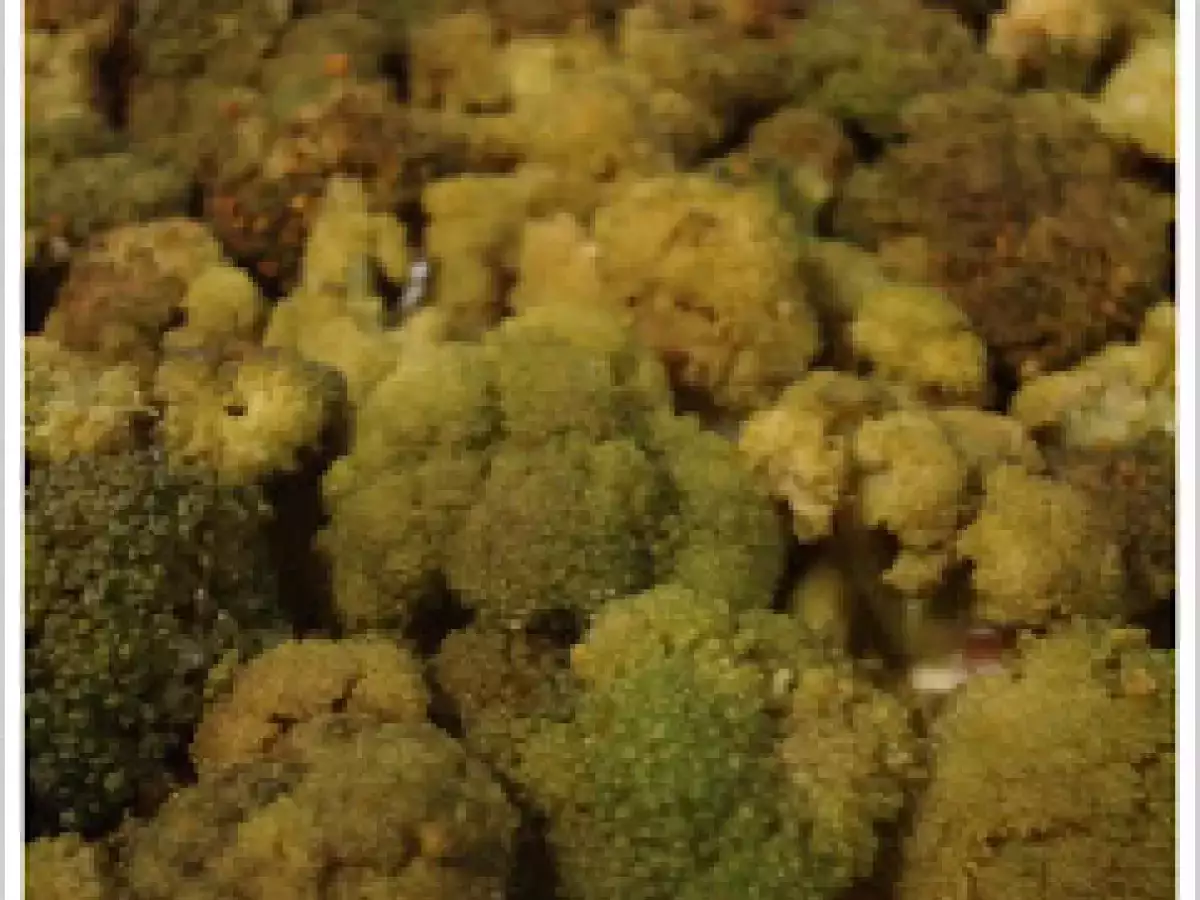 Quiche de brocoli y premios!! - foto 5