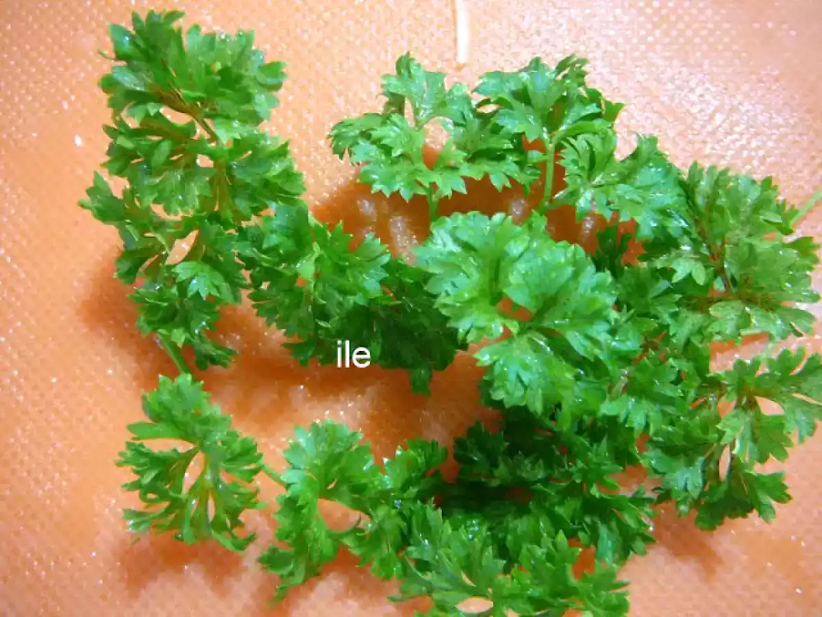 Ragout de champiñones - foto 5