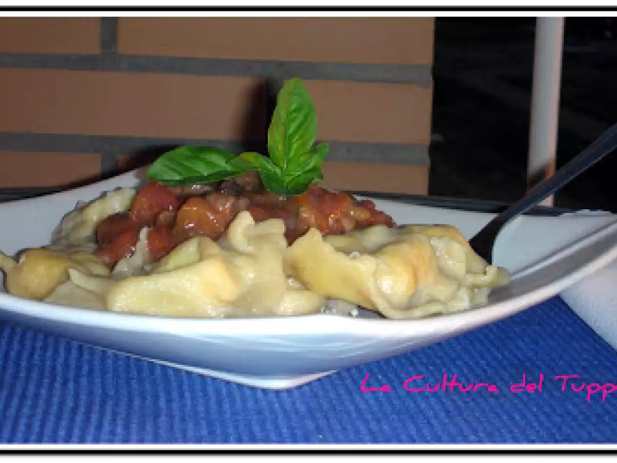 Raviolis de Pollo con Salsa de Vino Tinto - foto 2