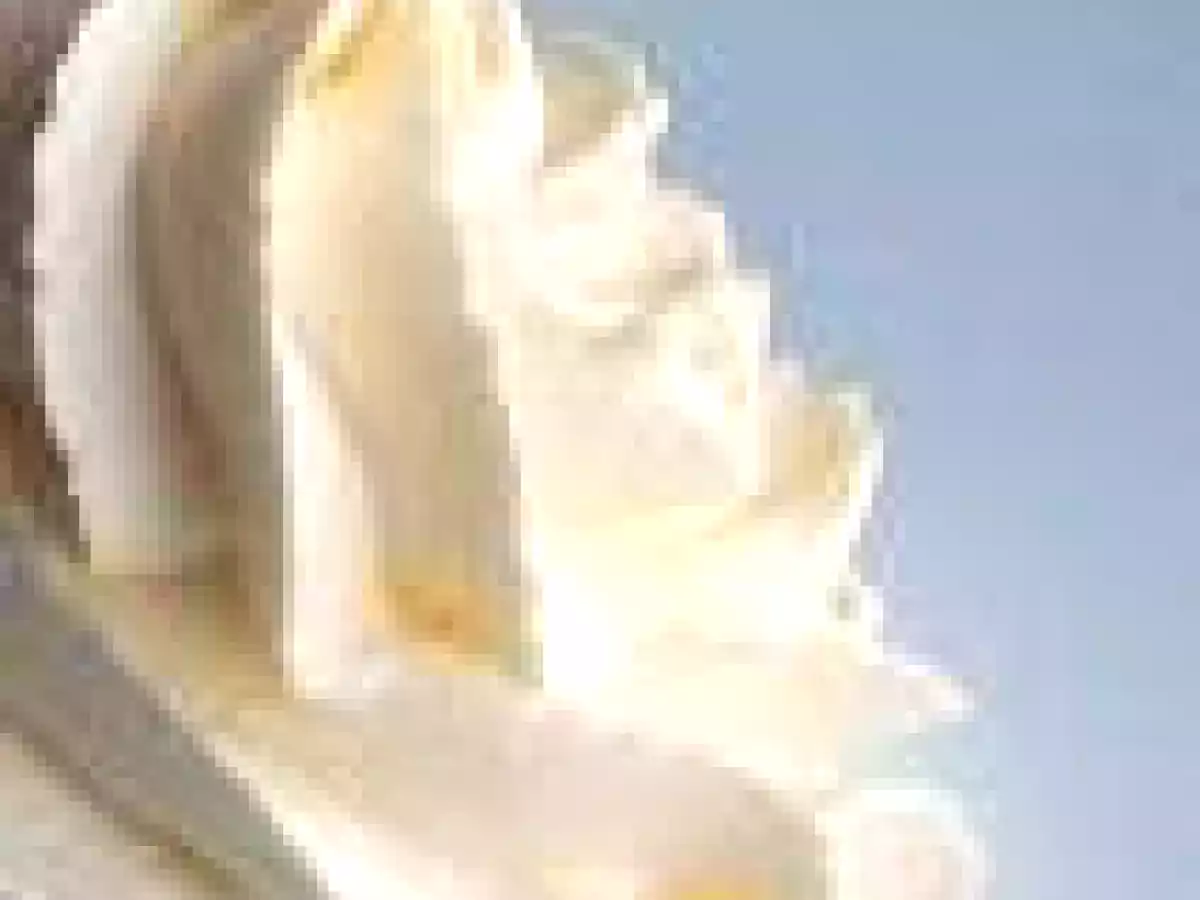 Receta BAVAROIS CON AVELLANAS - foto 15