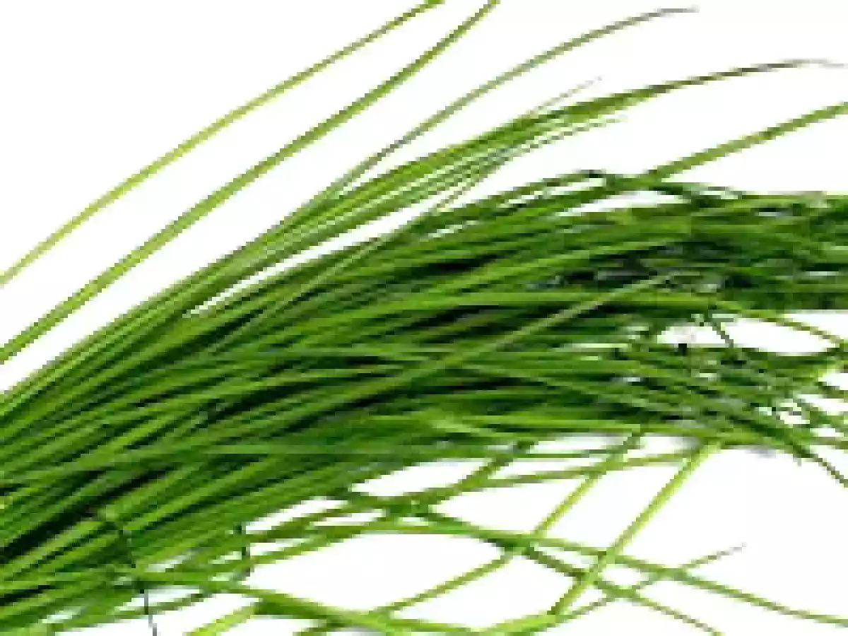 Receta ENSALADA DE ATUN CON SABOR A MELOCOTONES/DURAZNO - foto 9