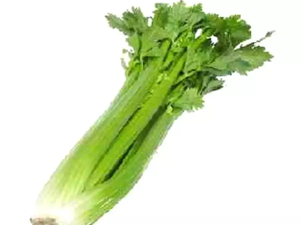 Recetas para Adelgazar Apio Relleno