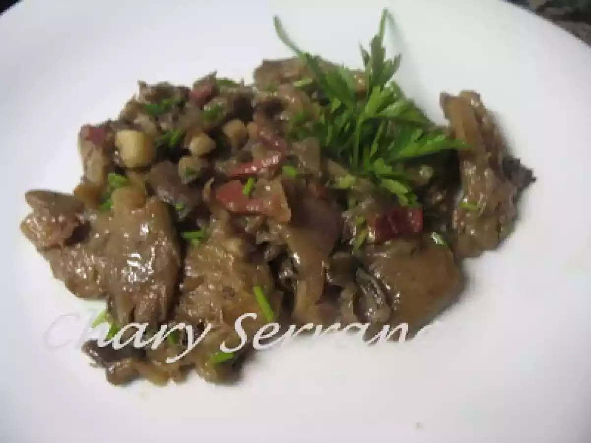 Recogida de setas y receta de setas de alamo