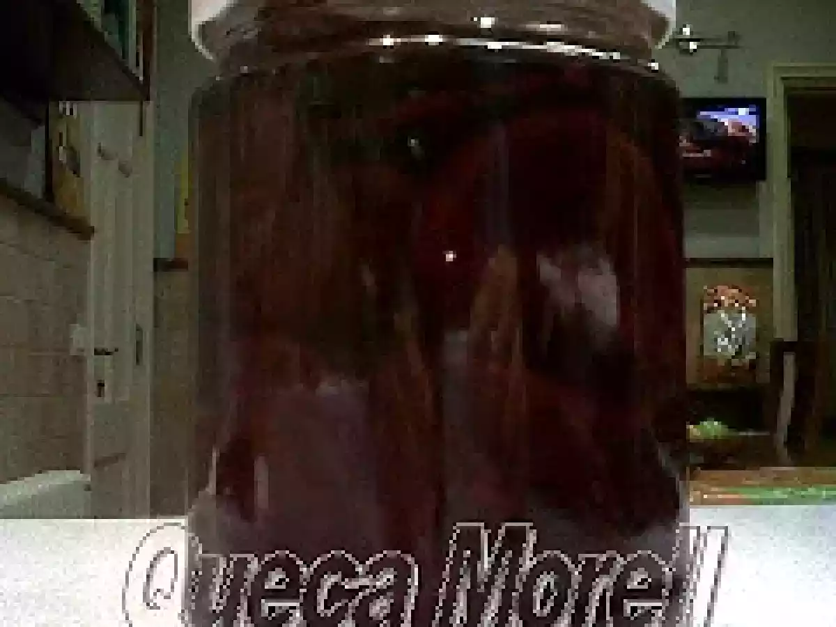 REMOLACHA ENCURTIDA.