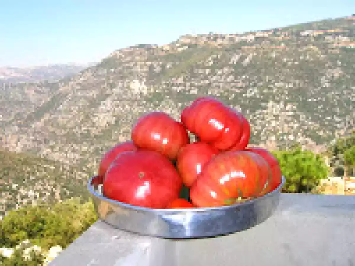 RENYONS DE MASERO (Riñones de campesino)