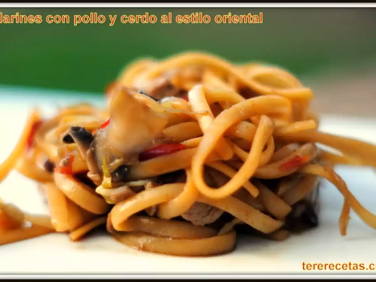 Ricos tallarines con pollo y cerdo al estilo asiático. - foto 3