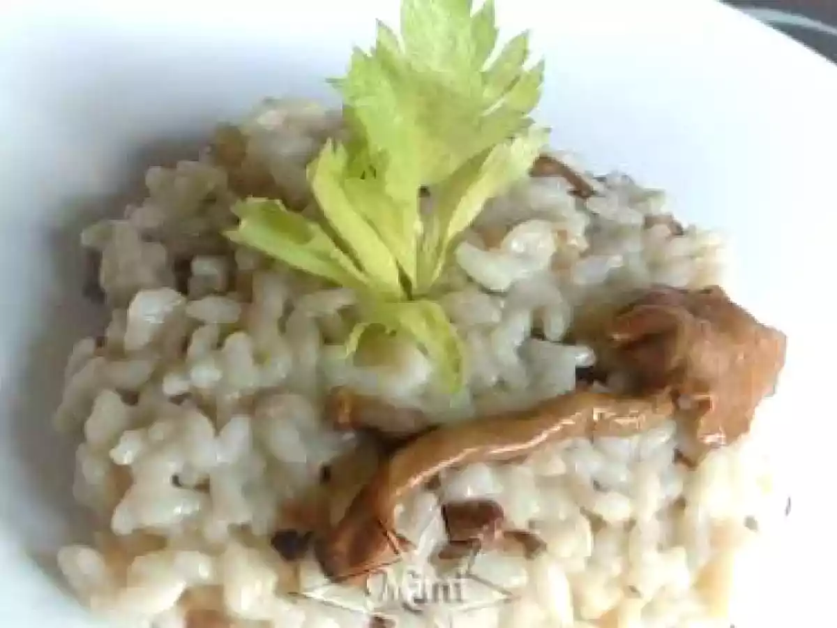 Risotto con Trufa negra y Setas
