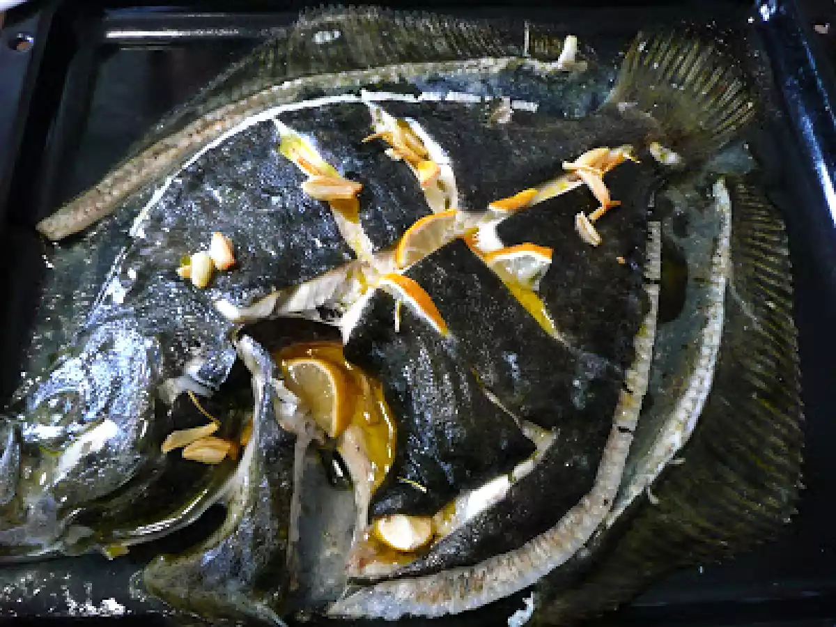 Rodaballo Blanco Y Negro/Black And White Turbot