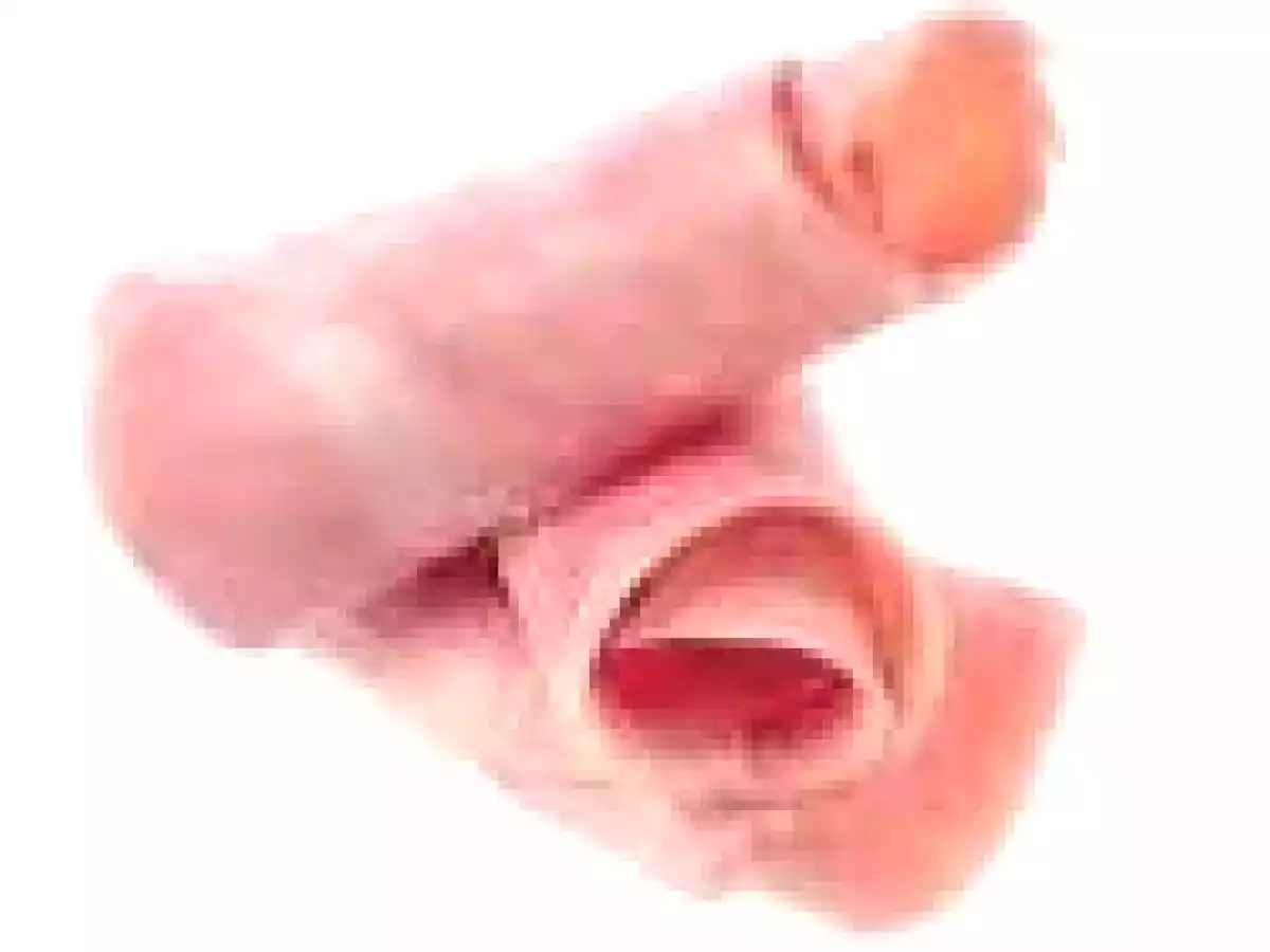 ROLLITOS DE JAMÓN COCIDO - foto 2