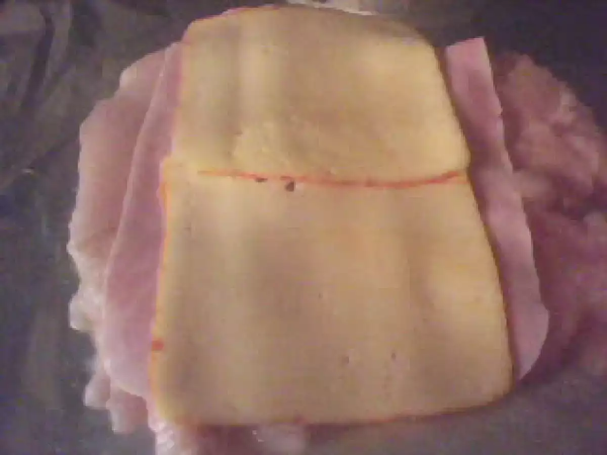 Rollitos de Pollo y Ensalada de Zanahoria - foto 2