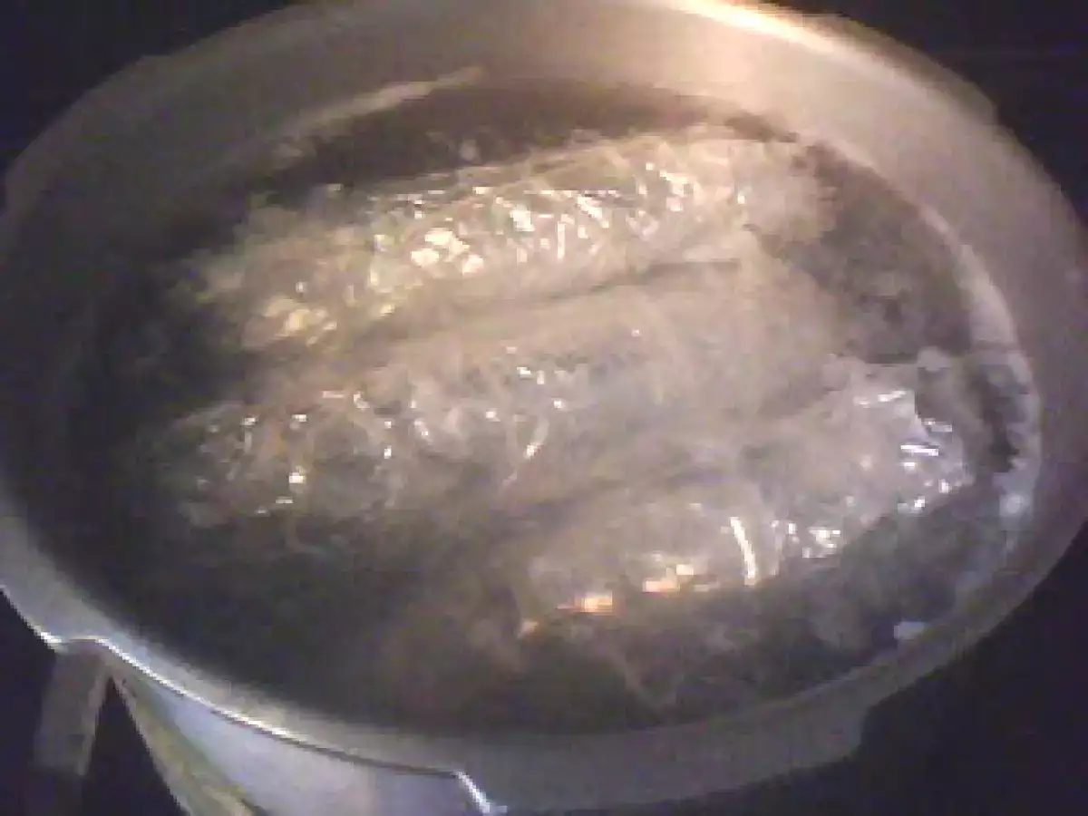 Rollitos de Pollo y Ensalada de Zanahoria - foto 4