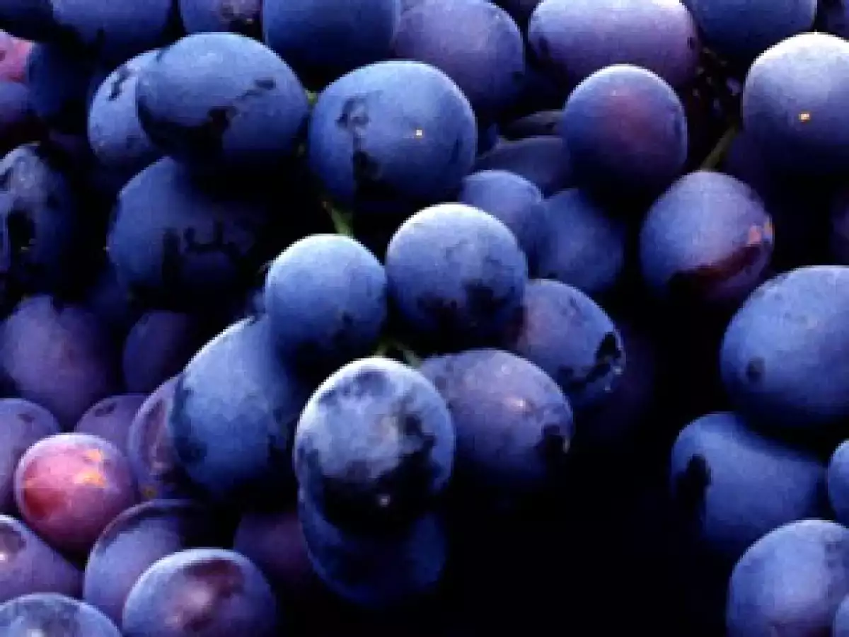 Salmó amb raïm al cava