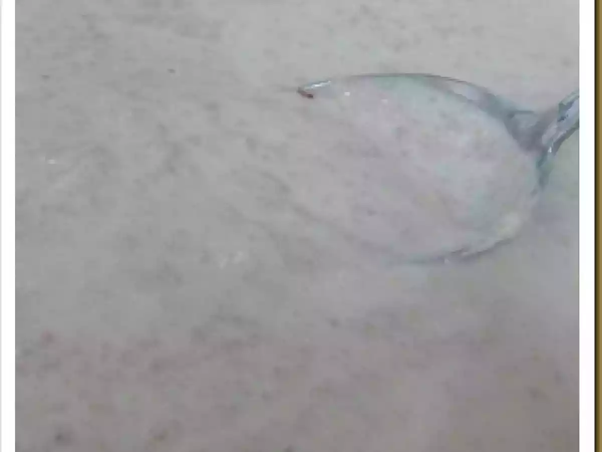 Salsa de Foie o paté