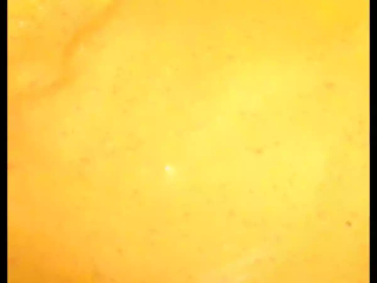 Salsa pimientos piquillo