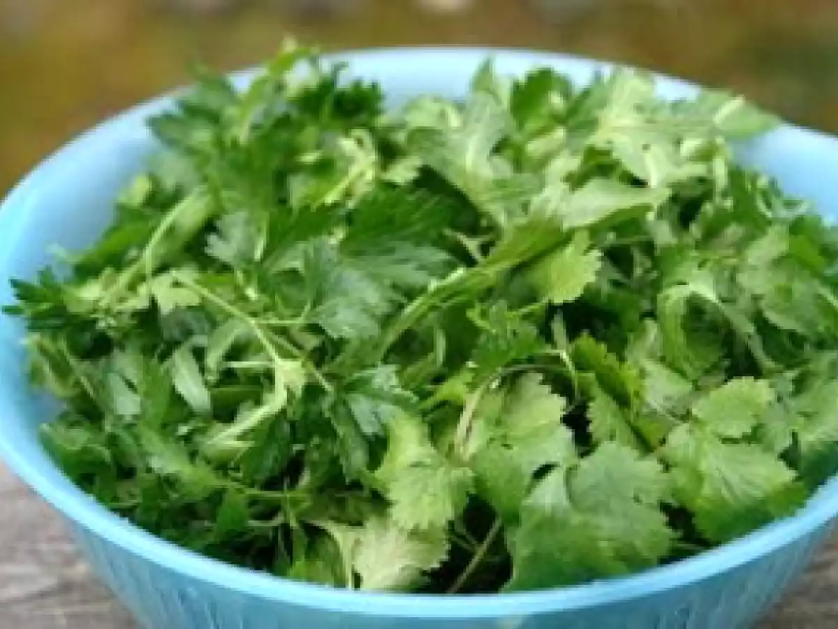 Salsa verde de hierbas - foto 7