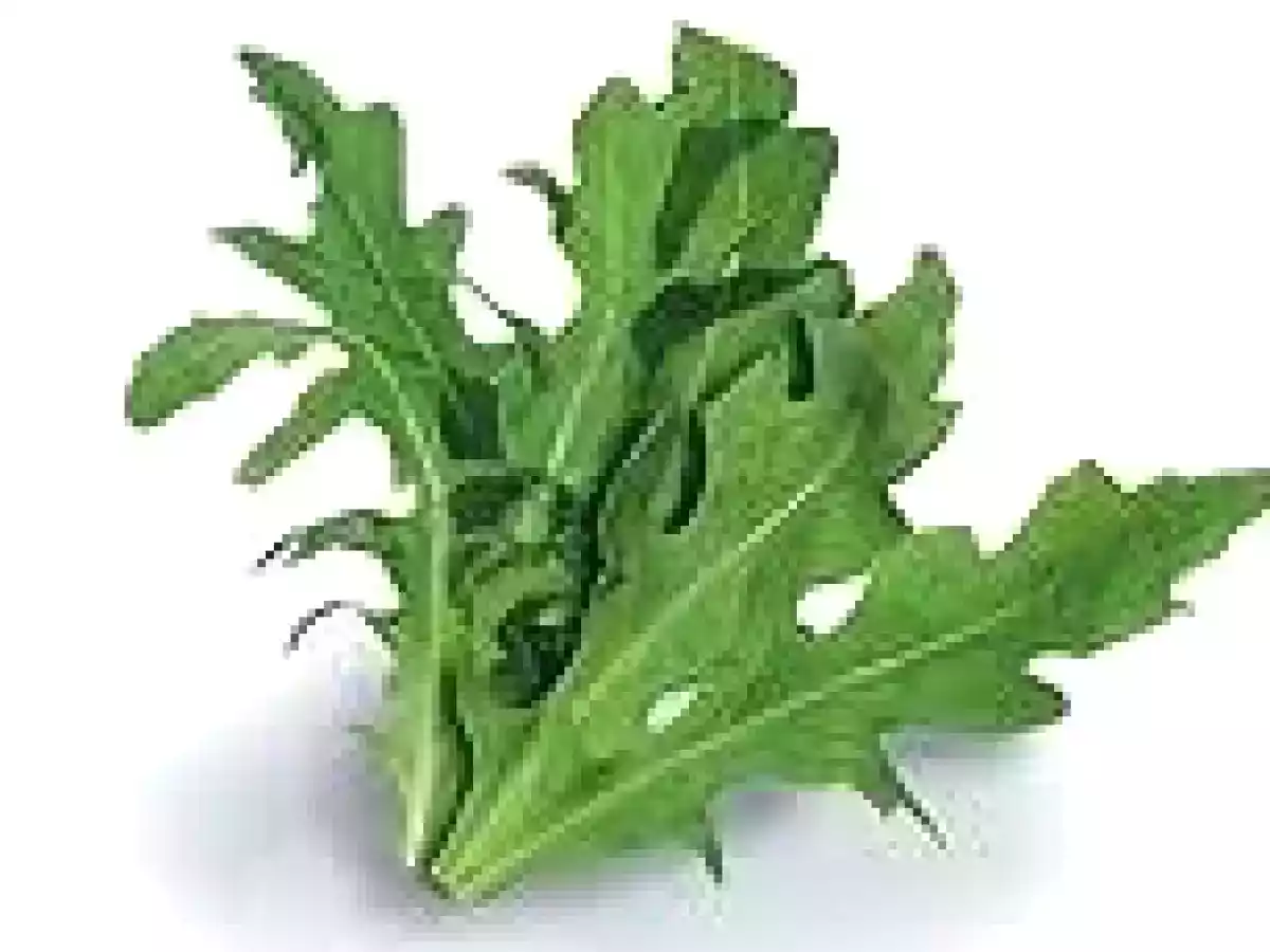 Salsa verde de hierbas - foto 12