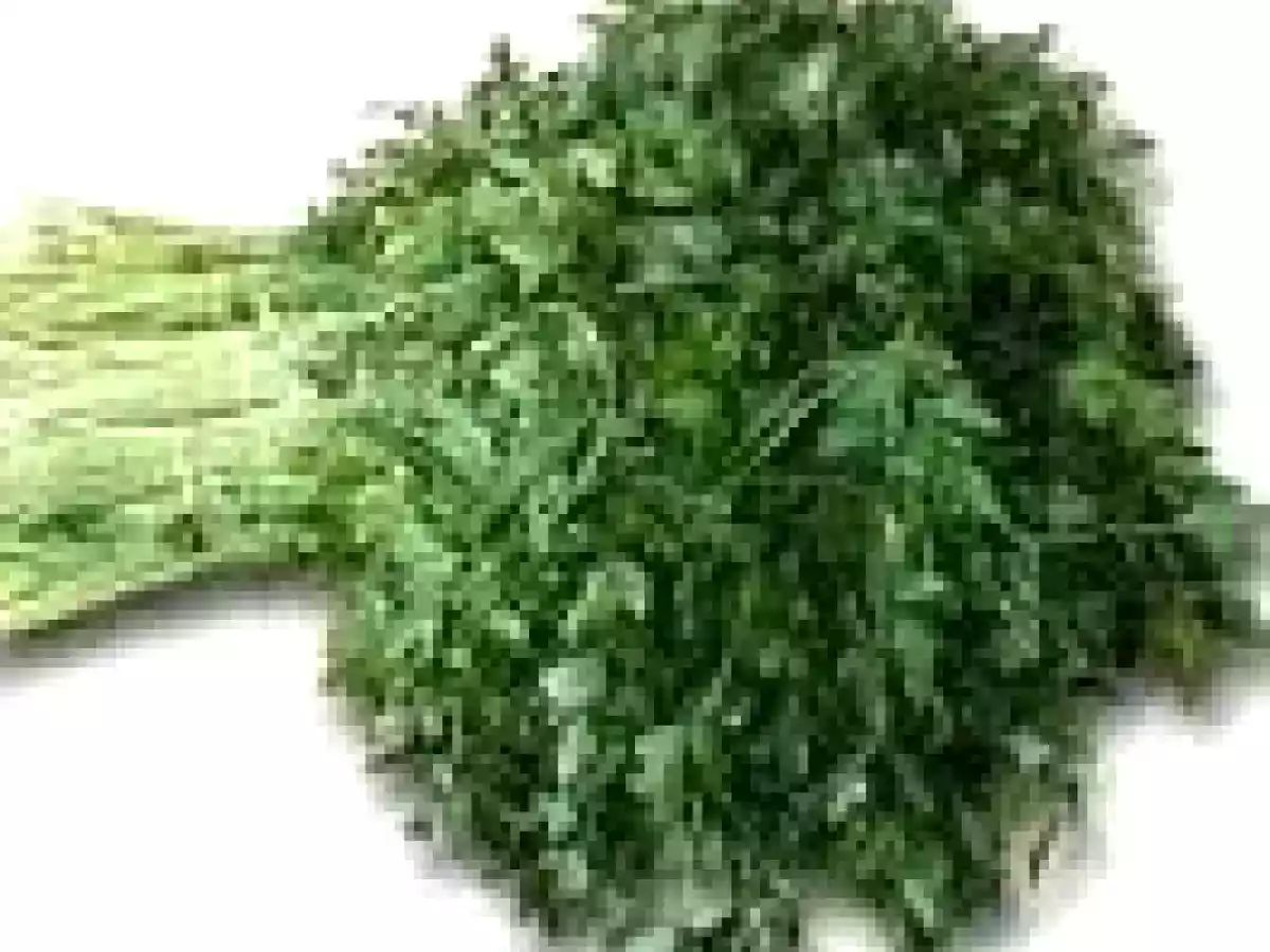 Salsa verde de hierbas - foto 14