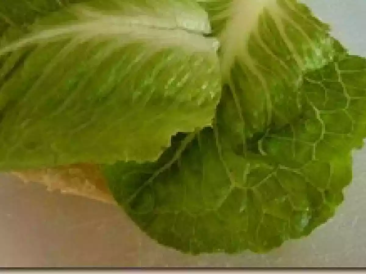 Sándwich frío de surimi - foto 2