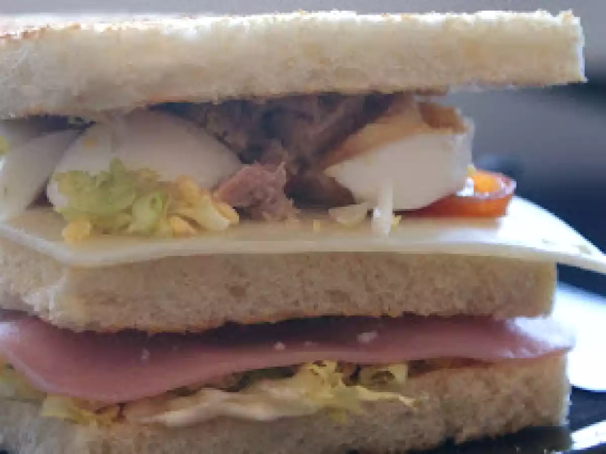 Sandwich vegetal - foto 2