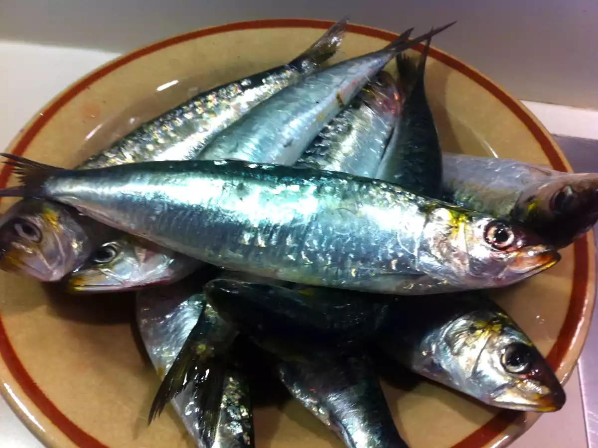Sardinas marinadas al romero - foto 2