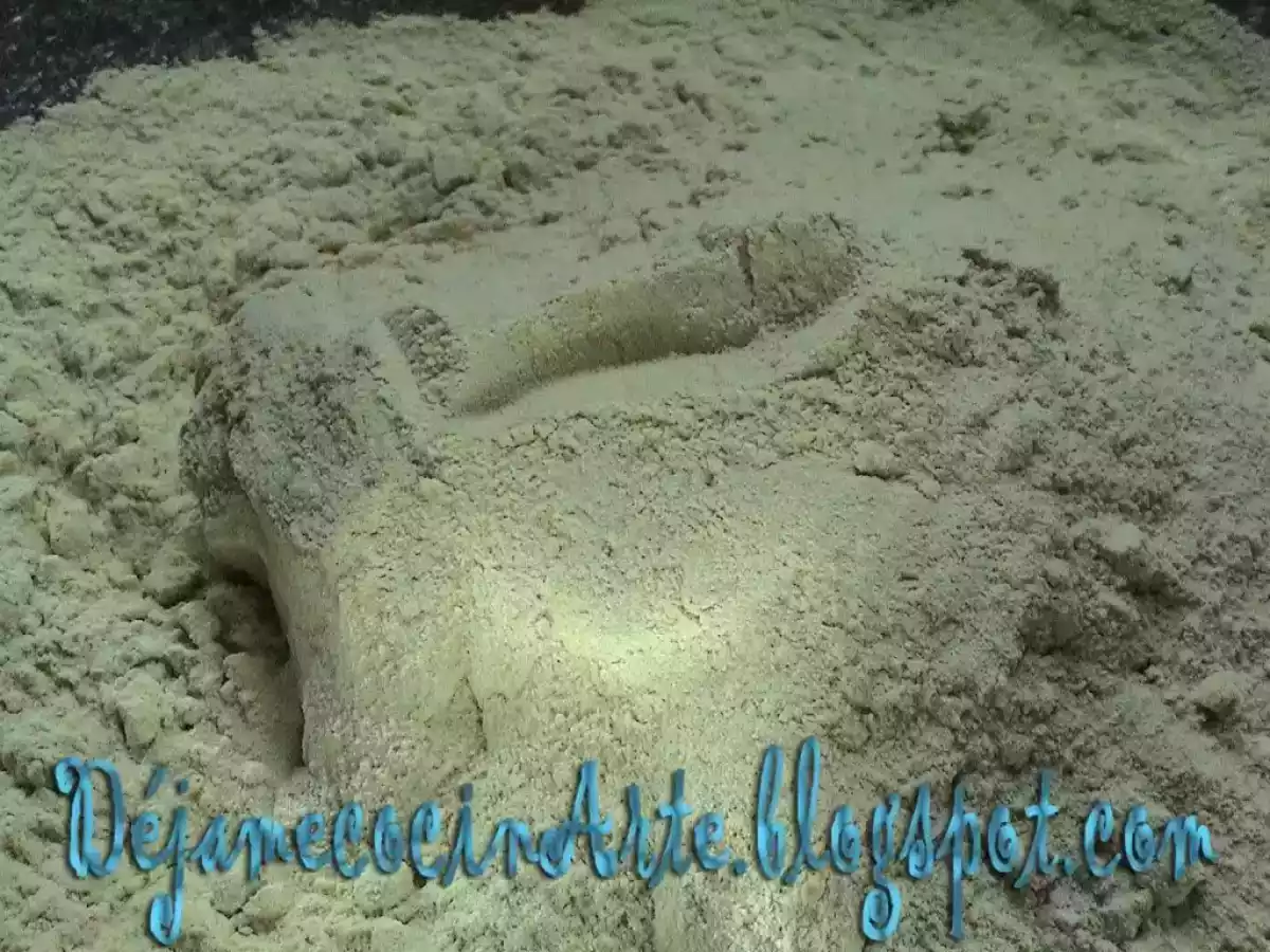 Seitán o Kofu (Carne Vegetal) - foto 2