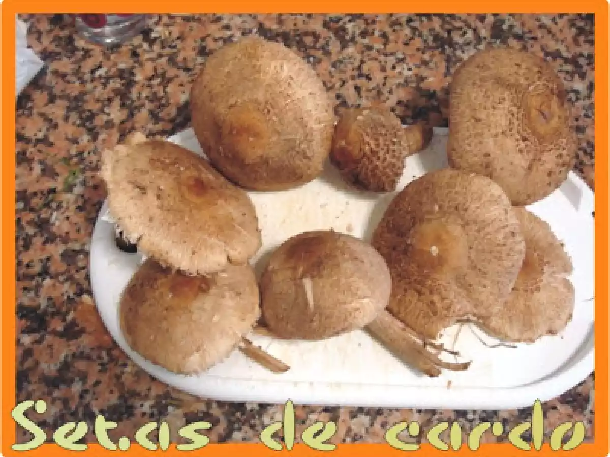 SETAS DE CARDO ASADAS - foto 3