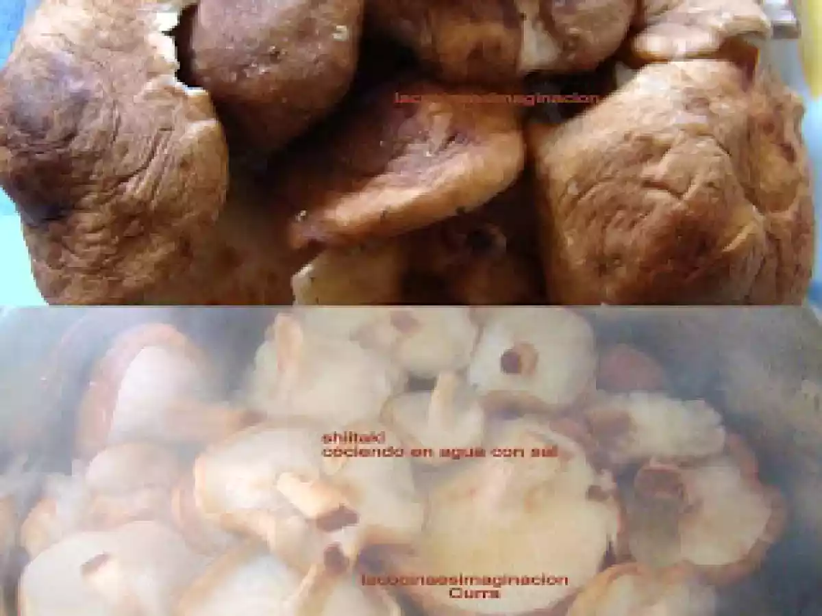 Shiitake en conserva - foto 2