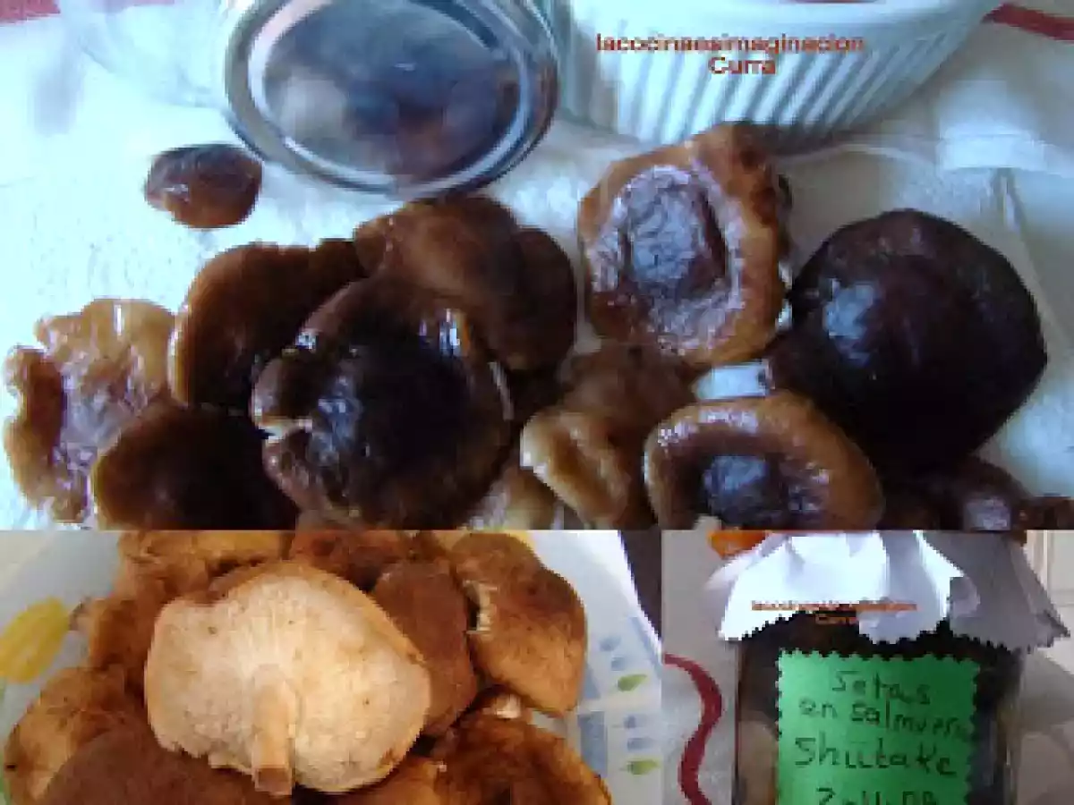 Shiitake en conserva - foto 3