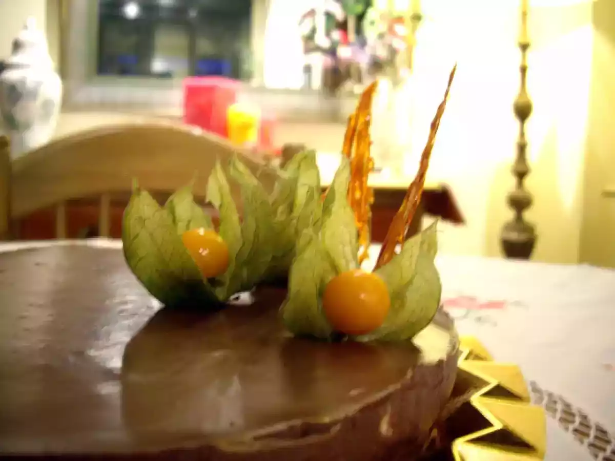 Sol de chocolate - foto 2